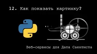 HOW TO SHOW AN IMAGE? ► Web Services for Data Scientist #12