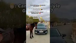 kurdish problem sizce hangisi☀️😂 #kurdish #passat #aşiret #keşfet #trending #shortvideo #shorts