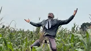 Pallaso - Bikyuuka ( Official Video )