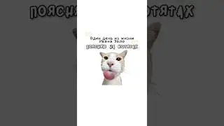 Один день из жизни Ивана золо