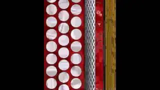 Los envidiosos dirán que es PlayBook|Melodion Acordeon