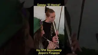 #shorts #elmental #warhammerfantasy #larp #ролеваяигра