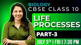 CBSE Class 10 Biology | Life Processes | Part 3 | Exam Winner