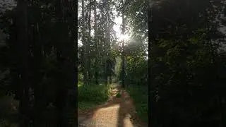 14 июля 2024 г.