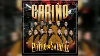 Potro Salvaje (TOPIC) - CARIÑO