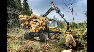 Lumberjack's Dynasty прохождение #8