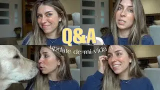 Q&A | Irene Bravo