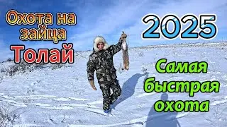 Охота на зайца после Нового Года
