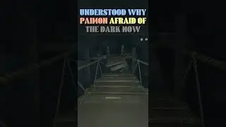 Genshin | First Person Mode in Chasm 