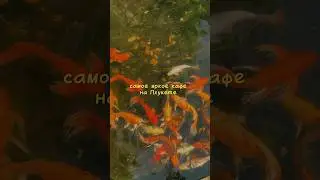Самое яркое кафе на Пхукете