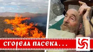The apiary burned down, legal chaos, grandfather's health