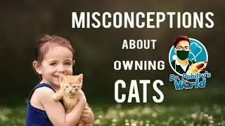 Misconceptions Among Cat Owners ||  বিড়াল পালনে কিছু ভুল ধারণার সংশোধন || Dr. Pobitro's World