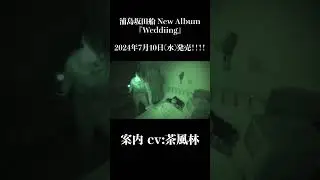 案内 cv茶風林