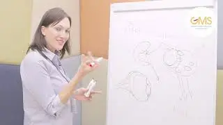 Школа диабета Часть 2