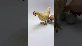 Chicken Life 😂 #shorts #chicken #funny