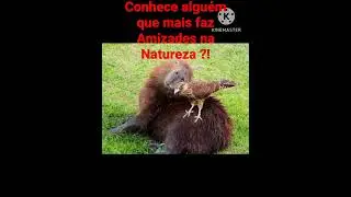 Conhece alguém que mais faz Network na Natureza ?!