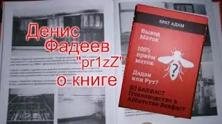 Денис Фадеев 