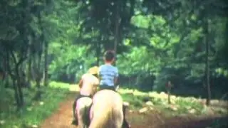 8MM WEB VIDEO