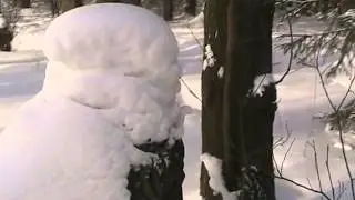 А. Патокин - Идет зима
