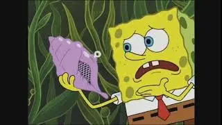 oh magic conch shell