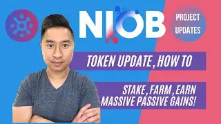 Niob Finance Update - Earn Passive Through Staking and Yield Farming
