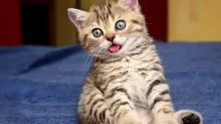 9 лайфхаков на 1 апреля ))))