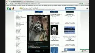 Jeff Vanuga Photography - How to get cash back on posters and images by Jeff Vanuga