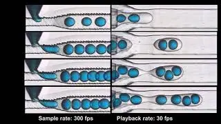 A Modular Microfluidic Device via Multimaterial 3D Printing for Emulsion Generation