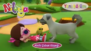 Niloya - 2023 / YENİ BÖLÜM / Akıllı Çoban Köpeği 🐕️🆕🐕️