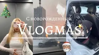По делам с новорожденным Vlog Предновогодние будни молодой мамы 🎄