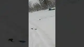 Ёжик, ты всегда был таким 😎 #шерегеш