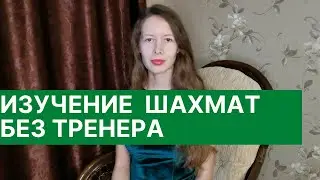 Как заниматься шахматами самостоятельно