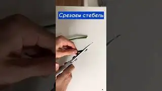 Нереально крутой Лайфхак 😱 Подпишись 👇 