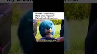 Siblings Memes 10 