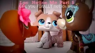 Lps: Notice Me Episode 4 {Now You Notice Me?}