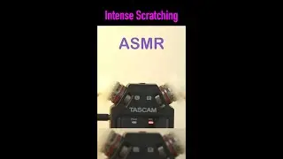 [ASMR] Intense mic scratching (with needles, ear picks, fingers) 🖐