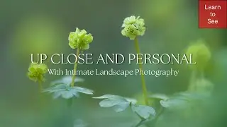 Up Close and Personal with Intimate Landscape Photography.