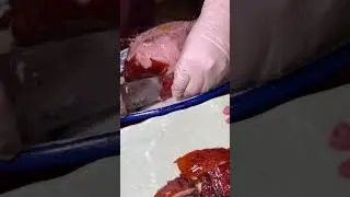 Peking Duck at New Asian BBQ in Las Vegas