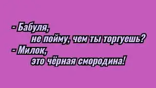 Черная смородина