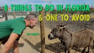 Things to do in Florida with Family - Florida on a Budget - 8 Affordable or Free Options