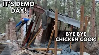 Demo Day