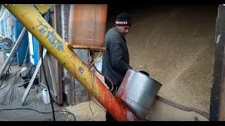 Протравитель зерновых