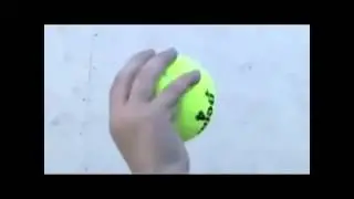 nut