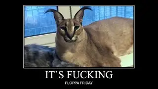 No Floppa Friday