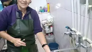 Доим чисто, хорошо и просто