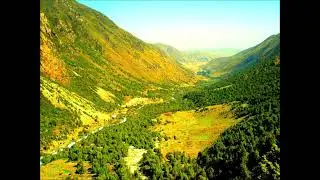 Gobelet - Valley Dub