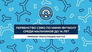 МФК «Поморье» — «Патриот». Первенство СЗФО среди мальчиков до 14 лет. Полуфинал