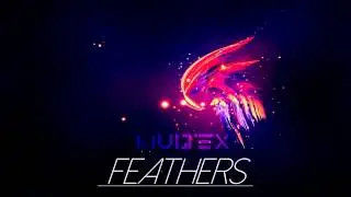 Shut Eye - Feathers