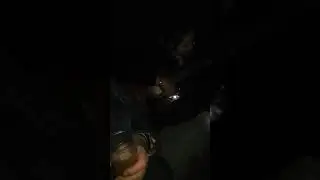 Гуляем
