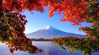 Вот и осень. Музыка Сергея Чекалина. Here comes autumn. Music by Sergei Chekalin.